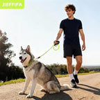 Nylon Dog Leash for Medium Large Dogs, 5-FTReflective Heavy Duty Leash with Comfortable Handle & Poop Bag Dispenser Ring, 1/2 Inch Wide, Secure Reinforcement for Walking (Green, M)