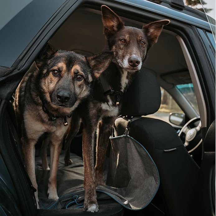 Beau's Bells V2 | Cat & Dog Collar Bells with New Quick Loop Easy Release Clip | Handmade Copper | Track Your Pet | Protect Wildlife