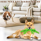 No Stuffing Dog Squeak Toys- Chew Toys for Small Medium Large Breed- Durable Puppy Teething Interactive to Keep Them Busy- Best Birthday Gift(Crocodile)