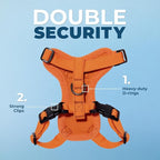 Voyager Step-in Lock Adjustable Cat Harness w. Cat Leash Combo Set with Neoprene Handle 5ft - Supports Small, Medium and Large Breed Cats by Best Pet Supplies - Orange, S