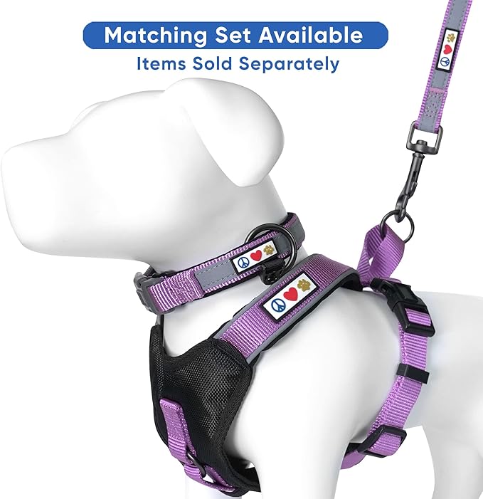 Pawtitas Personalized Dog Leash - Embroidered Custom Name & Phone Number, Reflective, 6 ft Long, Small, Purple Orchid Custom Tag