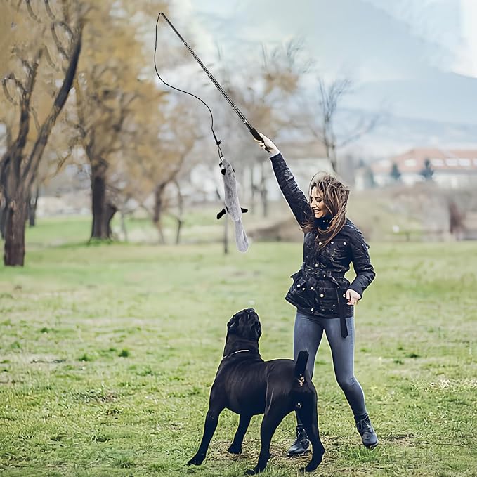 Flirt Pole for Dogs, Extendable Dog Flirt Pole with Detachable Interactive Toys Teaser Wand with Lure Chewing Toy for Outdoor Exercise & Training Interactive Toys Heavy Duty Dog Toy