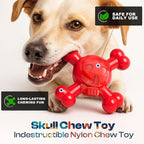 Dog Chew Toys for Aggressive Chewers – Indestructible Nylon Bone for Puppy Teething,Tough Chew Toy for Small Dogs, Bacon Flavor and Outdoor Fun, Skull Design