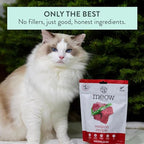 The New Zealand Natural Pet Food Co Meow Air Dried Cat Food - Venison Recipe, High Protein Dry Food, Use as a Complete Diet, Topper, Mixer, or as Cat Training Treats, All Life Stages,3.5 oz