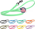 Dogline Biothane Waterproof Dog Leash Strong Coated Nylon Webbing with Black Hardware Odor-Proof Easy to Clean High Performance for Small or Large Dogs Made in USA 4 or 6 ft Lead, Sea Foam Green