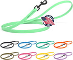 Dogline Biothane Waterproof Dog Leash Strong Coated Nylon Webbing with Black Hardware Odor-Proof Easy to Clean High Performance for Small or Large Dogs Made in USA 4 or 6 ft Lead, Sea Foam Green