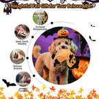 BINGPET Dog Squeaky Toys,2 Pack No Stuffing Halloween & Thanksgiving Dog Toys, Pumpkin & Turkey Interactive Plush with Squeaky Ball and Crinkle Paper, Durable Fun for Small Medium Large Dogs