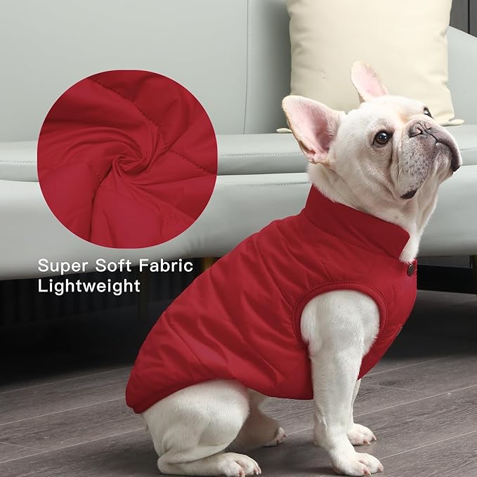 2 Layers Fleece Lined Warm Dog Jacket for Winter Cold Weather,Soft Windproof Medium Dog Coat,Red XL