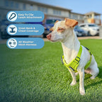 Best Pet Supplies Voyager Step-in Air Harness - All Weather Mesh, Reflective, No Pull Harness for Dogs, Cats - Secure with Hook & Loop Fastener, Buckle, Double D-Rings - Lime Green, L