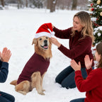 Mihachi Turtleneck Dog Sweater - Winter Coat Apparel Classic Cable Knit Clothes with Leash Hole for Cold Weather, Ideal Gift for Pet in New Year Wine Red X-Small