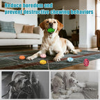 Dog Toys, Squeaky Latex Rubber Bouncy Balls, Squeaky Egg Dog Toys Balls, 3 Pack Interactive Squeak Dog Toy Set for Medium Large Breeds Dogs (3 Pack-B, Large)