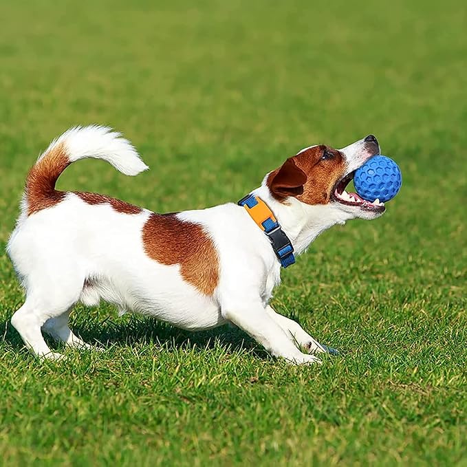 Squeaky Dog Balls, 2 Pack Indestructible Dog Toys for Aggressive Chewers Large/Medium Breed, Natural Rubber Interactive Chew Toys for Teeth Clean, Relieves Anxiety（Blue + Orange）