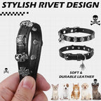 EXPAWLORER Halloween Cat Collar for Girl Boy- Adjustable Leather Pet Collar with Safety Elastic Belt,Personalized Punk Accessories Buckle Collars with Bell & Durable D-Ring, Skull(Black)