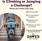 Dave's Pet Food Glucosamine Chondroitin for Dogs, Hip and Joint Support, Gluten-Free, Wet Senior Dog Food, 13.2 oz (Case of 12)