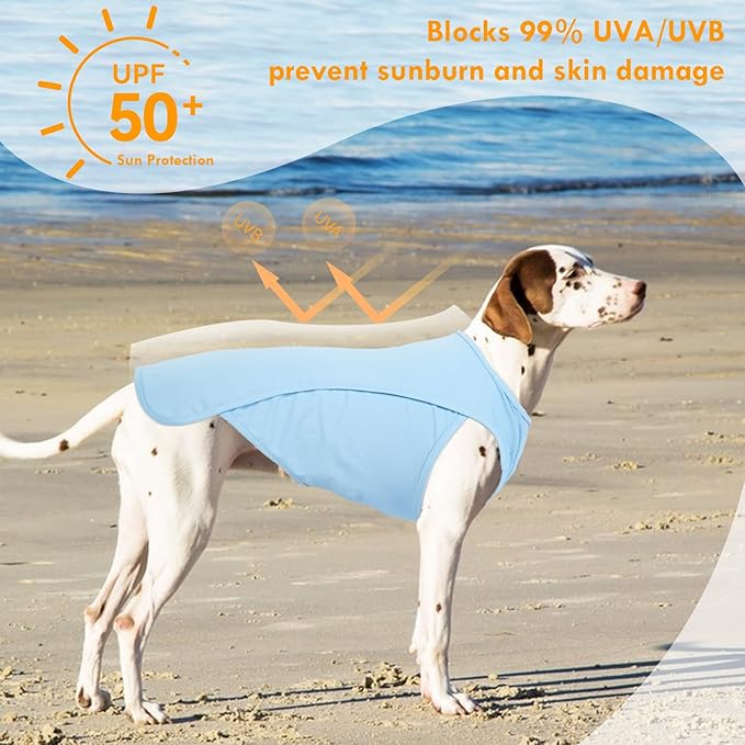 2 Pack Dog Shirt, Quick Dry Cooling T-Shirt for Summer Hot Day, Lightweight Sun Protection Dog Clothes for Boy Girl Easy to Put on, Blue+Grey, XL