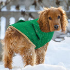 Queenmore Warm Dog Coat, Cold Weather Puffer Dog Coat Vest, Quilting Winter Pet Jacket Ultra Thick Plush Fleece Lining Pet Clothes for Dogs with Storage Pockets (Forest Green,X-Large)