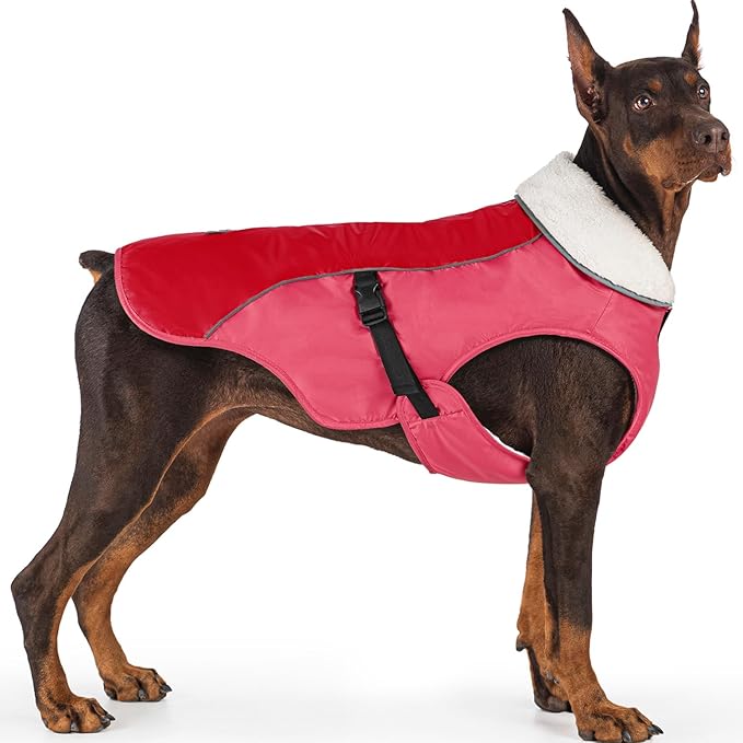 EMUST Dog Jacket Winter, Cozy Windproof Dog Jacket for Cold Weather, Solid Color Pet Vests for Winter for Medium Dogs, New Orange, M
