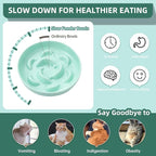 Ceramic Cat Slow Feeder Bowl - Pastel Series Cat Plate for Dry and Wet Food - Cute Maze Feeder Dish for Healthy Eating - Dishwasher Safe - 6.3''W x 1.2''H - 7 OZ - Mint Green