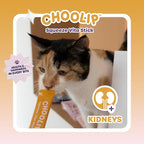 Choolip Squeeze Vita Stick Lickable Cat & Dog Treats – 14 Sticks (2×7 Value Bundle) Kidney Support, Creamy Grain-Free Puree with CoQ10, Omega 3 & Vitamin E for Hydration & Renal Health