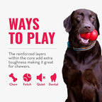 KONG CoreStrength Bow Tie Bone - Dog Dental Chew Toy - Durable, Multi-Layered Dog Toy for Enrichment Play & Dental Care - with Textured Body for Teeth Cleaning - for Small/Medium Dogs