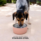 Simple Modern Stainless Steel Pet Water Bowl for Dogs & Cats | Insulated Stainless Steel Food Bowls for Dog Cat | No Tip No Slip BPA Free | Bentley Collection | Medium (4 Cups) | Midnight Black