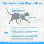 rabbitgoo Cat Harness and Leash Set for Walking Escape Proof, Adjustable Soft Kittens Vest with Reflective Strip for Cats, Comfortable Outdoor Vest, Light Blue, L