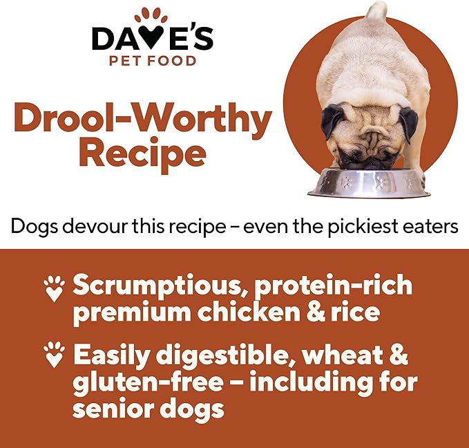 Dave's Pet Food Wet Canned Dog Food (Chicken & Rice), Made in USA Naturally Healthy with Added Vitamins & Minerals, Gluten Free Topper, 13.2 oz (12 Pack)