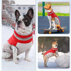 Dog Jackets for Medium Dogs,Medium Dog Coat,Warm Pet Winter Coat Zip Up Back,Waterproof Dogs Jacket with D-Ring,Pet Cold Weather Coats with Fleece Lined, Snowsuit Pug Boston Terrier,Red,M