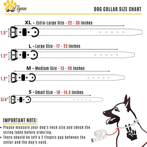 ADITYNA Heavy-Duty Black Leather Dog Collar for Small Dogs - Soft Padded for Comfort - Small Dog Collar for Walking, Training, and Hiking