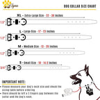 ADITYNA Heavy-Duty Leather Dog Collar for Small Dogs - Soft Padded for Comfort - Small Dog Collar for Walking, Training, and Hiking