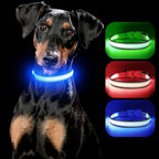 YFbrite Full Adjustbale LED Dog Collar, Full Illuminated Light up Dog Collars, Reflective Dog Collar Light Glowing in The Dark for All Dogs Safety (Small, Blue-2)