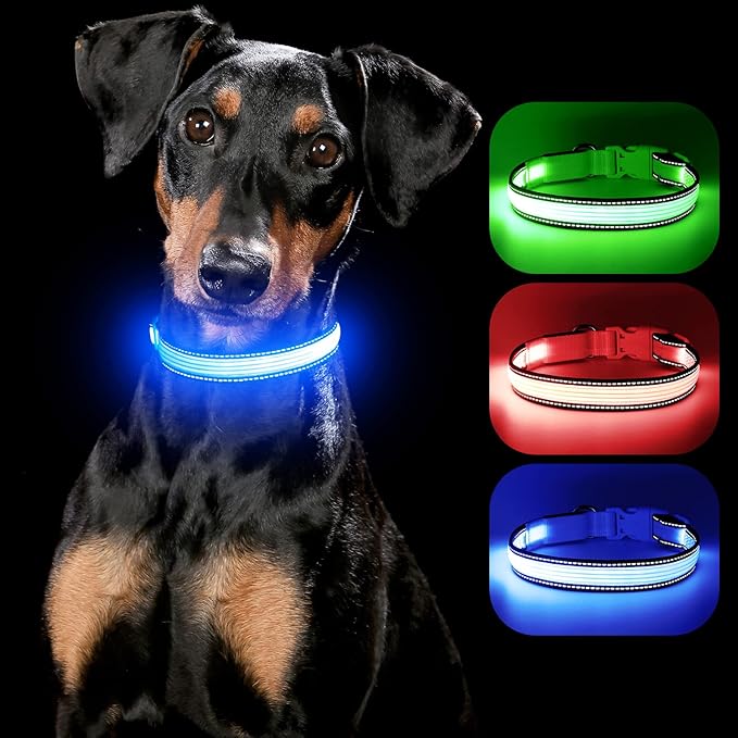 YFbrite Full Adjustbale LED Dog Collar, Full Illuminated Light up Dog Collars, Reflective Dog Collar Light Glowing in The Dark for All Dogs Safety (Small, Blue-2)