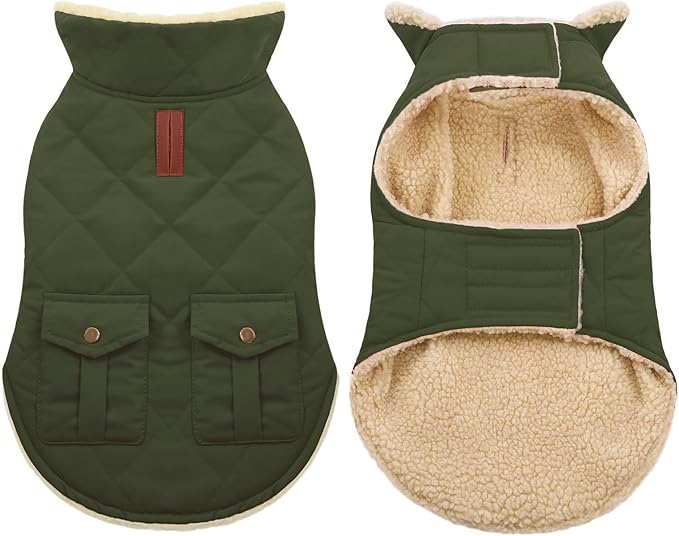 ASENKU Warm Dog Winter Coat, Waterproof Dog Coat for Cold Weather, Fleece Dogs Jacket with Ultra Thick Plush Lining Leash Hole Storage Pockets for Small Dogs (Green, Small)