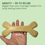 2-Pack Non-Toxic Dog Toys - Sustainable Bacon Flavored Dog Chew Toys for Aggressive Chewers - Plant-Based Bioplastic Pet Toys - Made in The USA (Mighty)