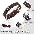 Leather Dog Collar,Dog Collar with Adjustable Sturdy Metal Buckle,Heavy Duty Dog Collar for Walking, Hiking, Training, Hunting (Brown,M:16.2"-22" Neck)