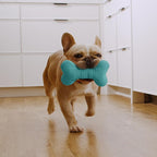 Playology Dog Toys | Plush Squeaky Bone Chew Toy for Dogs | Medium Peanut Butter Scented Toy - Easy to Clean and Made from Non Toxic Materials