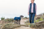 Goldpaw Rainpaw Waterproof Dog Raincoat - Durable Dog Rain Jacket for All Seasons - Easy to Wear, Adjustable, Premium Pet Outerwear - Made in The USA - Machine Washable - Black Bean - Size 12