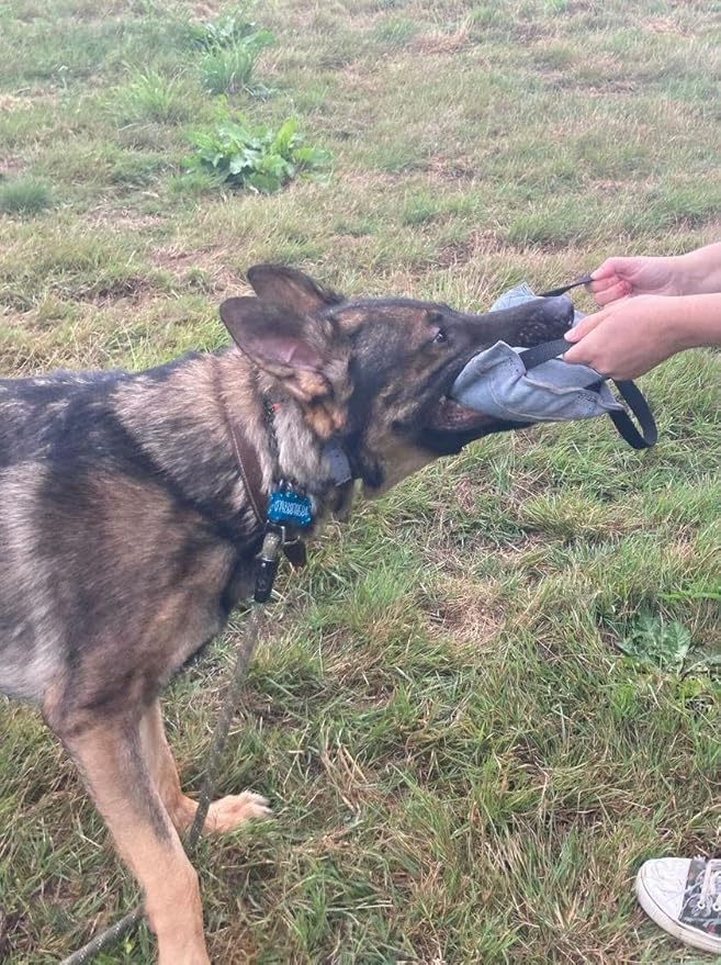 EQ K9 Leather Dog Tug Toy with 3 Handles, Durable Bite Pillow for Medium to Large Dogs, for Dog Training, Tug of War, K9 Training, Crufts, Agility, Bite Tug, Pull Toy, Schutzhund, KNPV, Mondio Ring