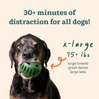 WOOF Starter Pack - Interactive Dog Toys for Boredom - Dog Treat Molds Silicone - Chicken-Flavored Healthy Treats for Dogs - Pupsicle Doggy Enrichment Toy - for XL Pups - 75+ lbs