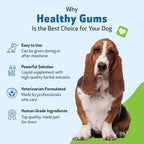 Pet Wellbeing Healthy Gums for Dogs - Topical Drops for Oral Care, Dental Health & Fresh Breath - NASC Certified & Vet-Formulated - 4 oz Liquid