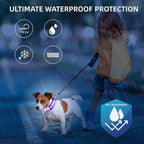 Super Bright LED Dog Collar - Fully Waterproof & Adjustable Glow Collar - USB-C Rechargeable for Night Walking, Safety - Flashing Lighted Collar for Dogs(Purple,Medium)