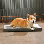 Amazon Basics Dog Bed with Cooling Gel Memory Foam, Pressure-Relief Support for Dogs up to 50lbs, Non-Slip Bottom, Machine Washable Cover, Large Sized (35" x 22"), Grey