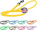 Dogline Biothane Waterproof 4ft Dog Leash Strong Coated Nylon Webbing with Black Hardware Odor-Proof Easy to Clean High Performance for Small or Large Dogs Made in USA 4ft Lead, Lemon Yellow