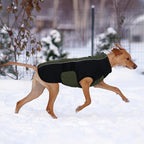 Kuoser Dog Winter Jacket, Winter Dog Coats for Medium Dogs, Reflective Doggie Cold Weather Coats Pet Clothes, Puppy Snow Jacket for Frech Bulldog, Boston Terrier, Green M