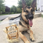 BRUTUS & BARNABY 12 Cow Ears + 15 Gullet Treats, All Natural Whole Dog Treats