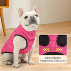 SCENEREAL Dog Winter Coat - Warm Dog Jacket with Built-in Harness for Small & Medium Dogs, Waterproof Cold Weather Coat with Zipper, Fleece Puffer Vest Windproof Snow Clothes for Puppy & Pet
