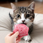 CiyvoLyeen D20 Dice Catnip Toy, DND Interactive Cat Toy Gifts for Role Playing Tabletop Game Soft Plush Funny Cute Kitten Teething Chew Pet Supplies Cat Lover Witchy Gift Idea Dnd Accessories Set of 5