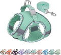 AIITLE Escape-Proof Dog Harness - Extra Soft Jacquard Fabric with Moisture-Wicking Lining, Adjustable Fit for Boston Terrier, Pekingese - Running, Playdates, Outdoor Adventures (Turquoise, L)