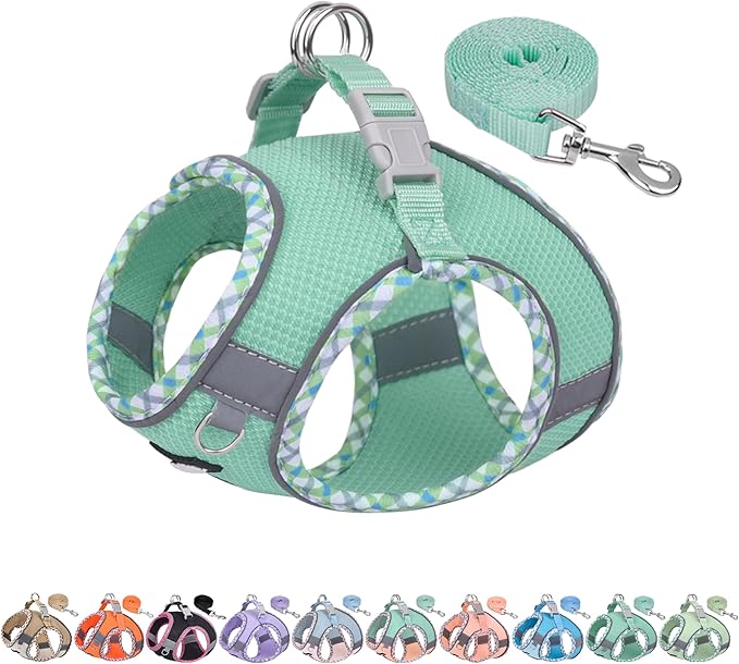 AIITLE Escape-Proof Dog Harness - Extra Soft Jacquard Fabric with Moisture-Wicking Lining, Adjustable Fit for Boston Terrier, Pekingese - Running, Playdates, Outdoor Adventures (Turquoise, L)