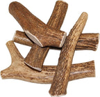 X Small Whole 5 Pack (for 0-15 lb Dogs and Puppies) Premium Grade Elk Antlers for Dogs (5 Pieces) Sourced in The USA